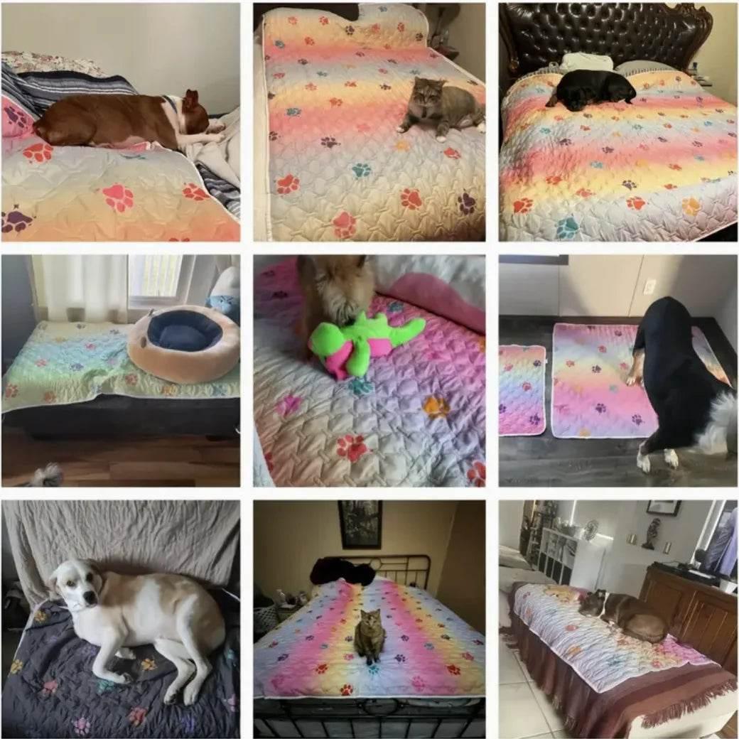 Waterproof Reversible Rainbow Pet Bed Cover - Dabfavshop
