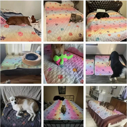 Waterproof Reversible Rainbow Pet Bed Cover - Dabfavshop