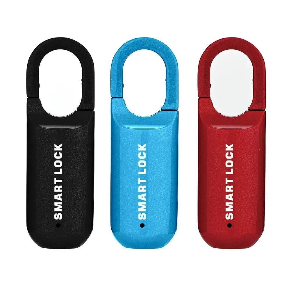 Mini Fingerprint Padlock Smart Touch - Dabfavshop