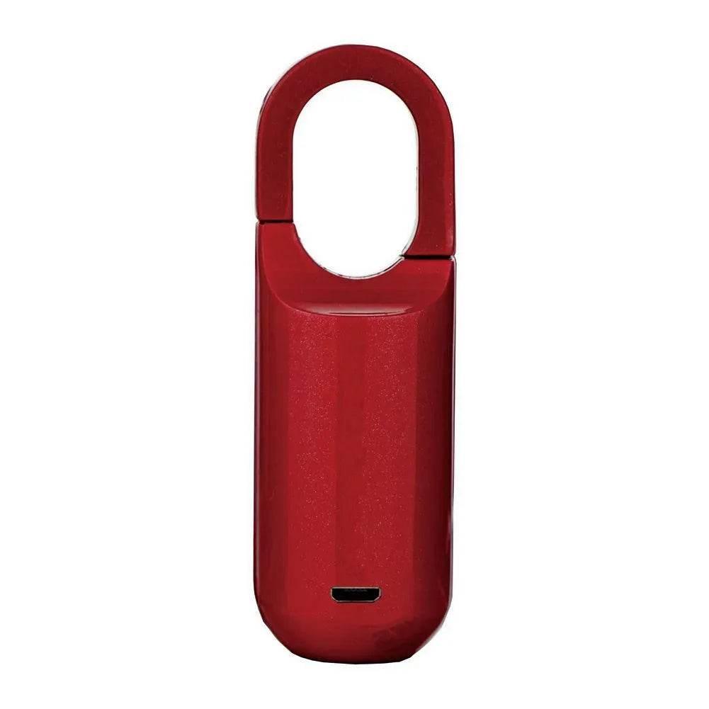 Mini Fingerprint Padlock Smart Touch - Dabfavshop