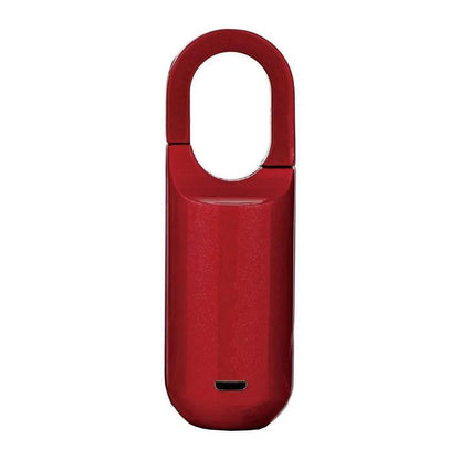 Mini Fingerprint Padlock Smart Touch - Dabfavshop