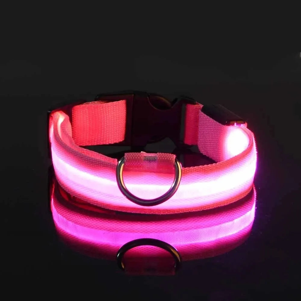 LED Dog Collar Nylon - Dabfavshop