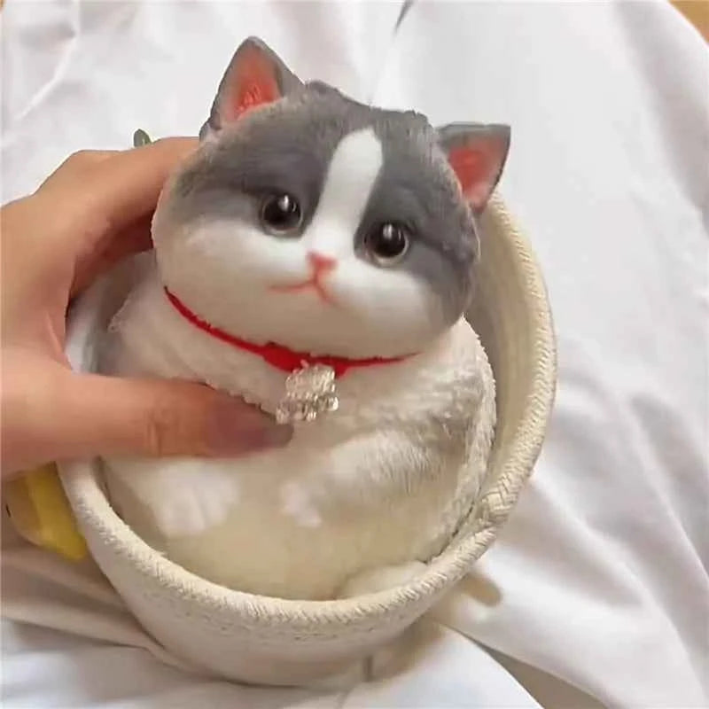 Cute Cat Squishy