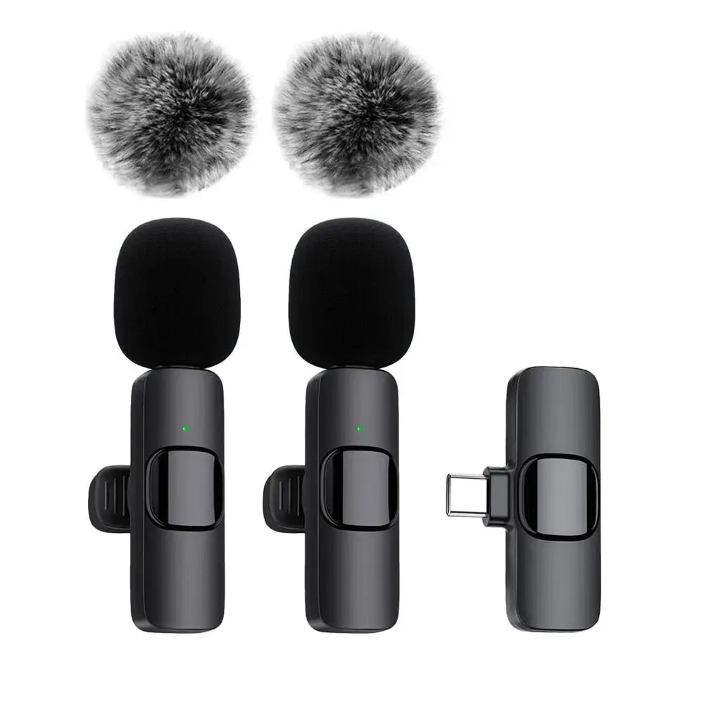 Dabfavshop Mini mic for recording with two detachable windshields for clear audio capture
