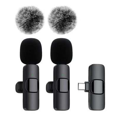 Dabfavshop Mini mic for recording with two detachable windshields for clear audio capture