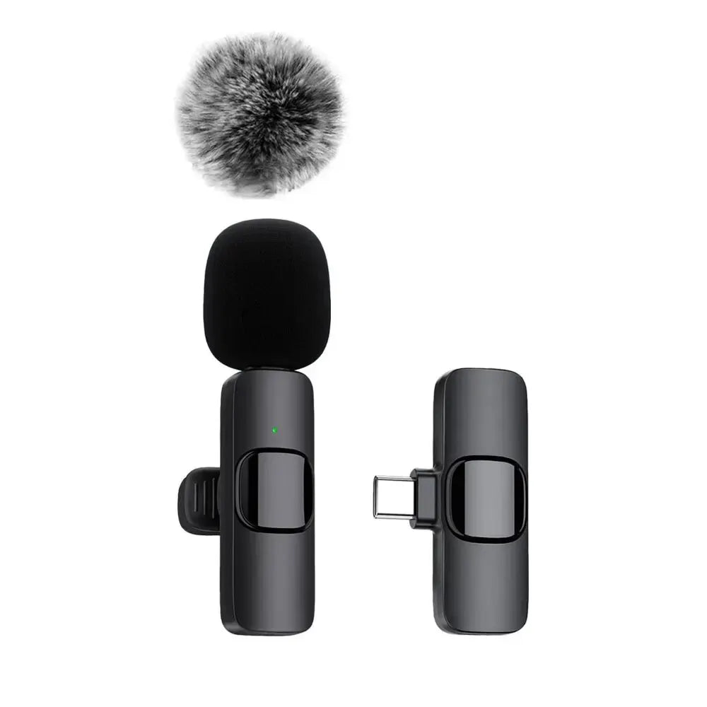 Dabfavshop mini mic for recording featuring a compact design and windscreen for clear audio capture