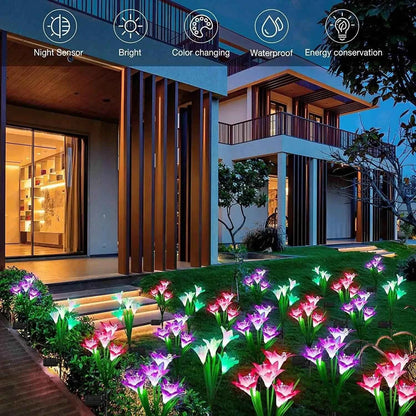 Dabsfavshop outdoor solar lily garden lights highlighting a beautifully landscaped pathway at dusk